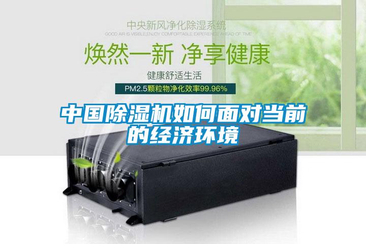中國除濕機(jī)如何面對(duì)當(dāng)前的經(jīng)濟(jì)環(huán)境