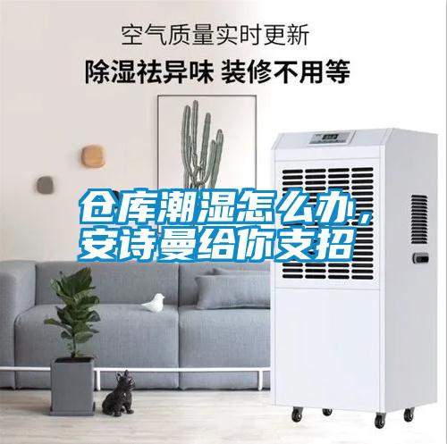 倉庫潮濕怎么辦，安詩曼給你支招