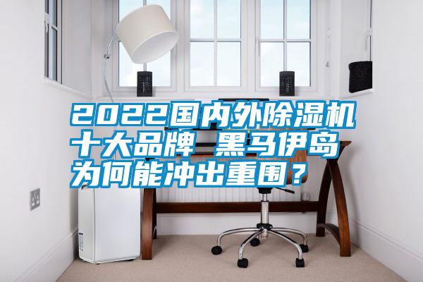 2022國內外除濕機十大品牌 黑馬伊島為何能沖出重圍？
