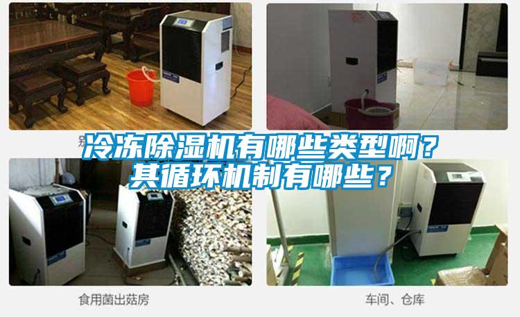冷凍除濕機有哪些類型啊？其循環(huán)機制有哪些？
