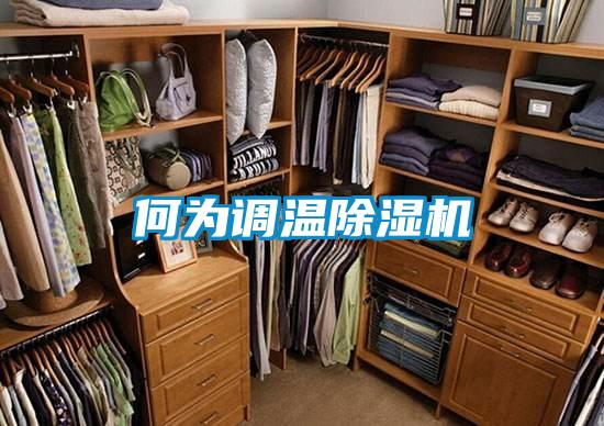 何為調(diào)溫除濕機
