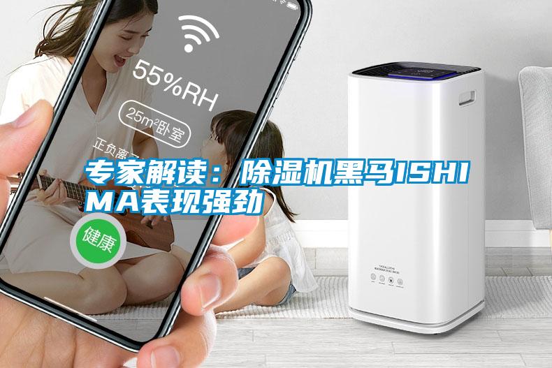 專家解讀：除濕機黑馬ISHIMA表現(xiàn)強勁