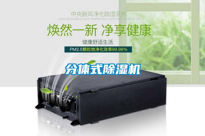 分體式除濕機(jī)