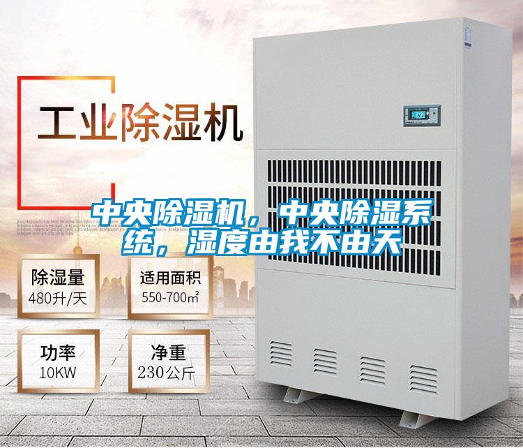 中央除濕機，中央除濕系統，濕度由我不由天