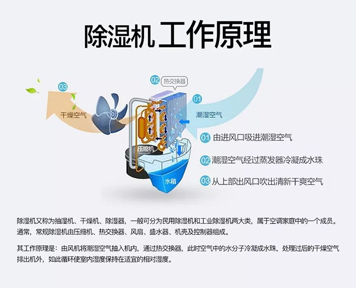 南方梅雨季到了房屋墻壁滲水、返潮怎么辦？