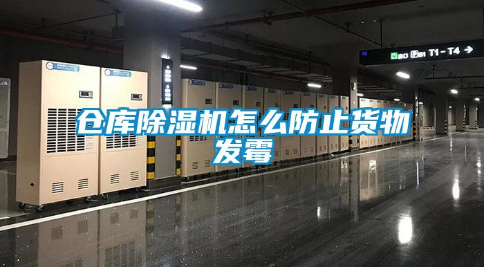 倉庫除濕機(jī)怎么防止貨物發(fā)霉