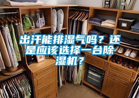 出汗能排濕氣嗎？還是應該選擇一臺除濕機？