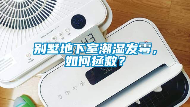 別墅地下室潮濕發霉，如何拯救？