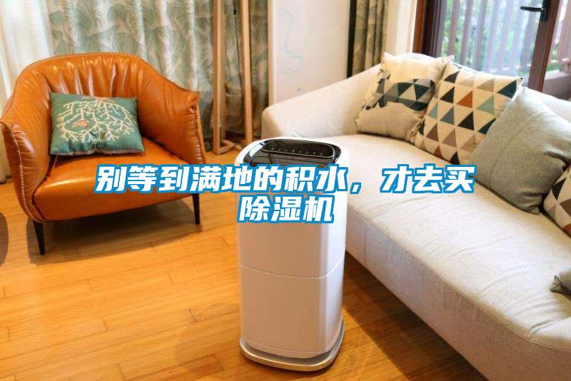 別等到滿地的積水，才去買除濕機(jī)