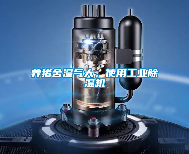 養(yǎng)豬舍濕氣大，使用工業(yè)除濕機