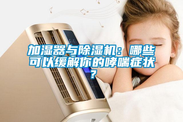 加濕器與除濕機：哪些可以緩解你的哮喘癥狀？