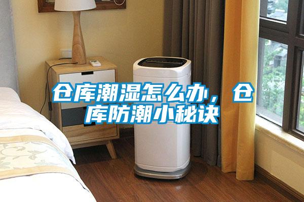 倉庫潮濕怎么辦，倉庫防潮小秘訣