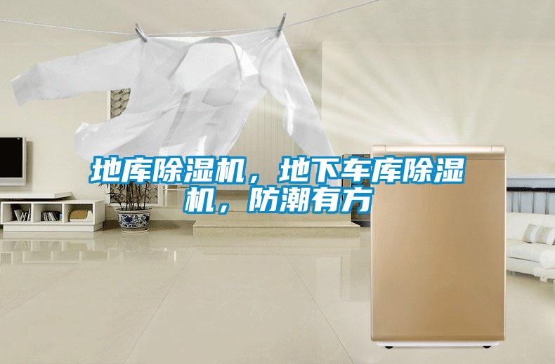 地庫除濕機，地下車庫除濕機，防潮有方