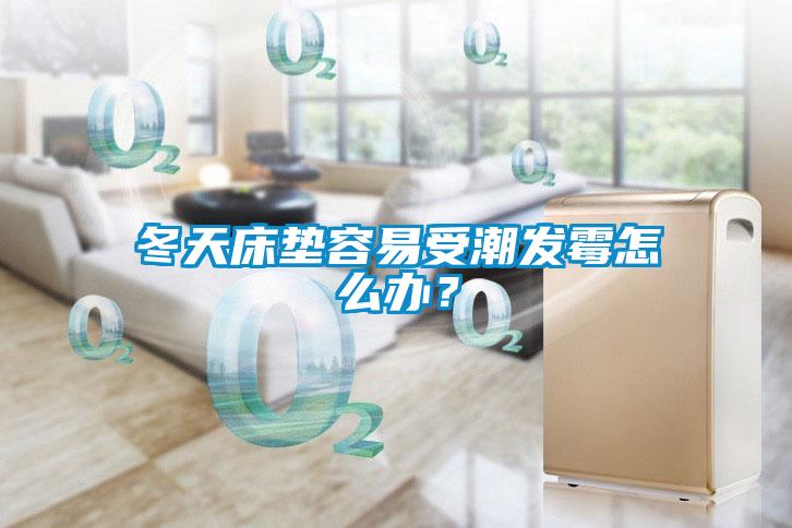 冬天床墊容易受潮發霉怎么辦？
