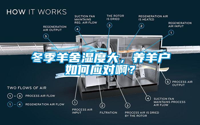 冬季羊舍濕度大，養(yǎng)羊戶如何應(yīng)對(duì)啊？