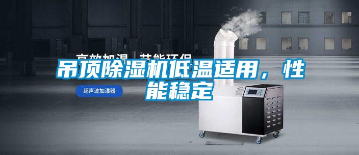 吊頂除濕機低溫適用，性能穩定