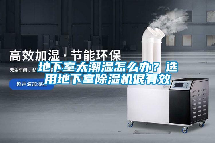 地下室太潮濕怎么辦？選用地下室除濕機(jī)很有效