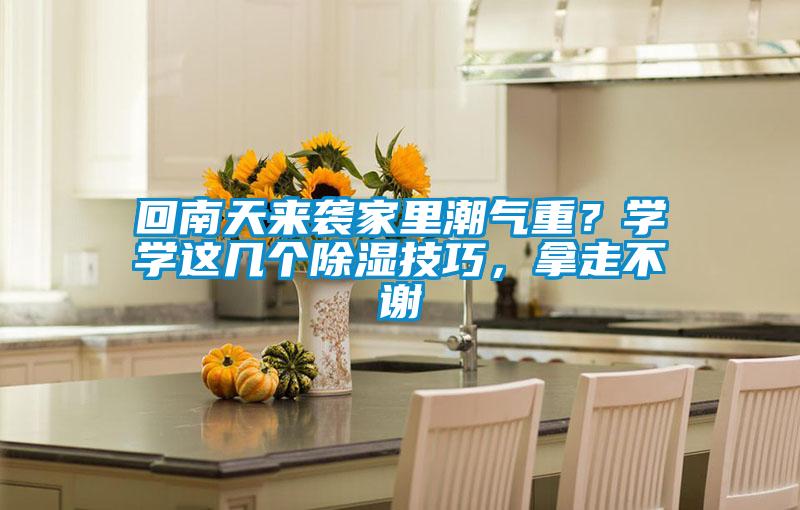 回南天來襲家里潮氣重？學學這幾個除濕技巧，拿走不謝