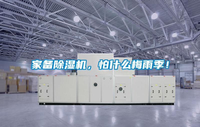 家備除濕機，怕什么梅雨季！