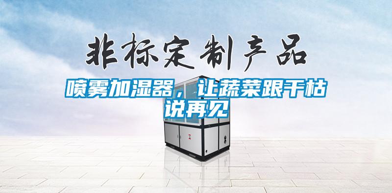 噴霧加濕器，讓蔬菜跟干枯說再見