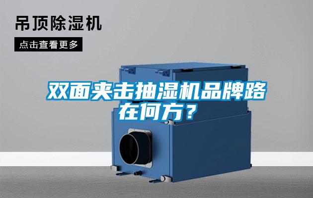 雙面夾擊抽濕機品牌路在何方？