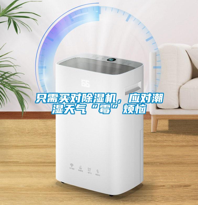 只需買對(duì)除濕機(jī)，應(yīng)對(duì)潮濕天氣“霉”煩惱