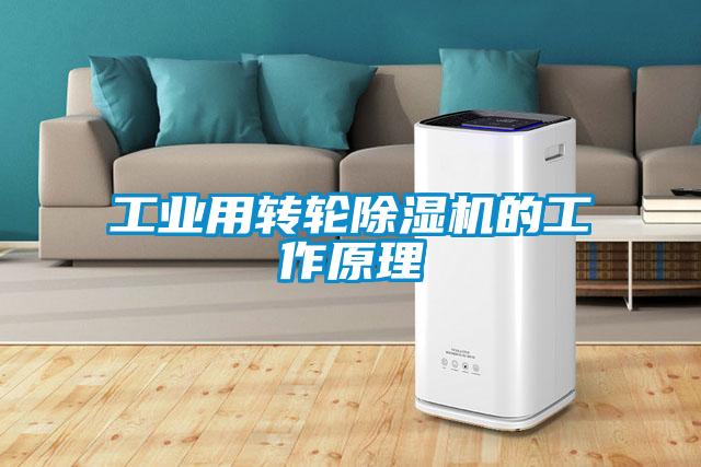 工業(yè)用轉輪除濕機的工作原理