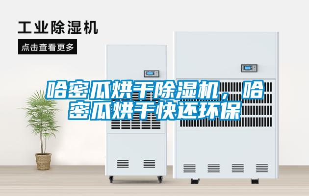 哈密瓜烘干除濕機，哈密瓜烘干快還環(huán)保