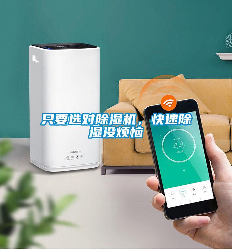 只要選對除濕機，快速除濕沒煩惱