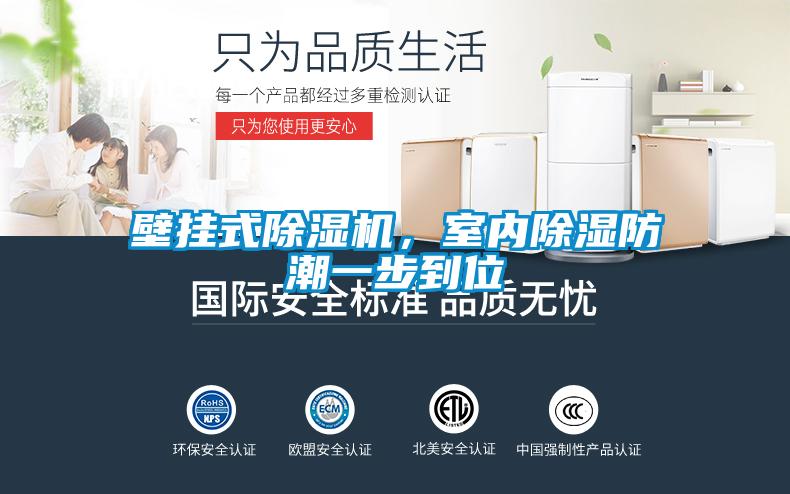 壁掛式除濕機(jī)，室內(nèi)除濕防潮一步到位