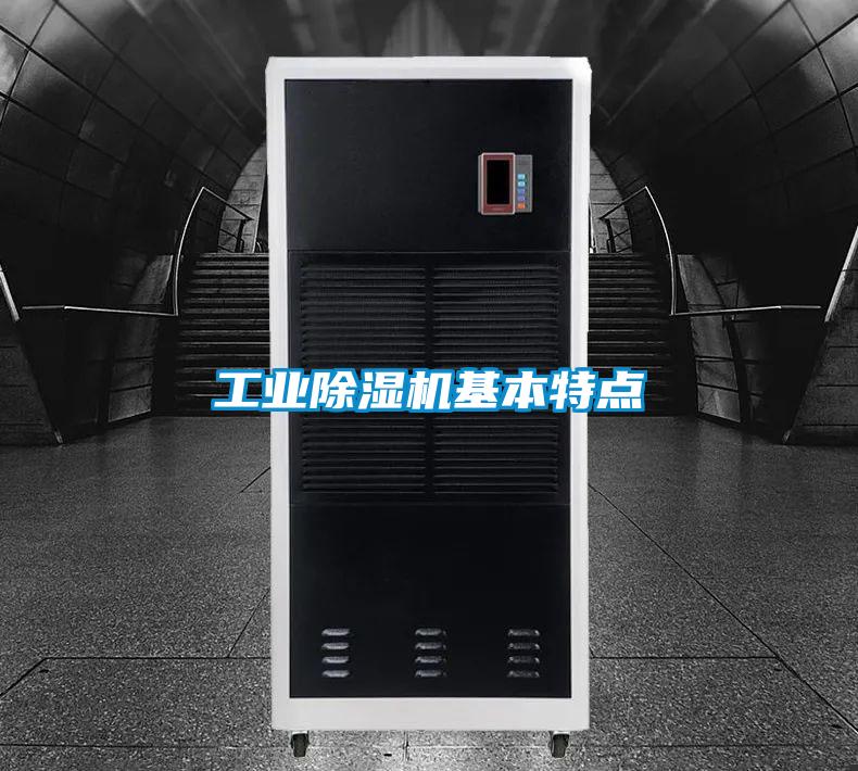 工業(yè)除濕機基本特點