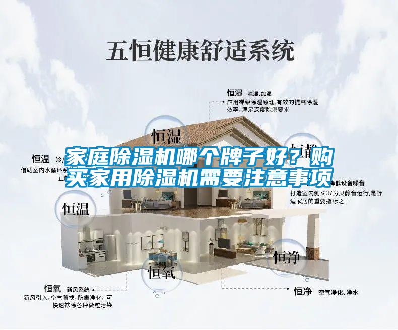 家庭除濕機哪個牌子好？購買家用除濕機需要注意事項