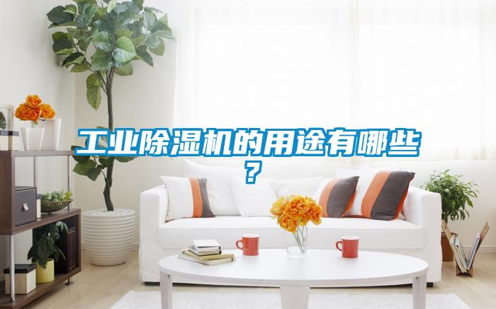 工業除濕機的用途有哪些？