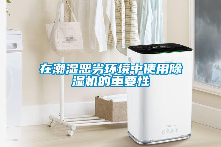 在潮濕惡劣環(huán)境中使用除濕機的重要性
