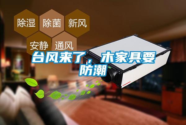 臺風來了，木家具要防潮