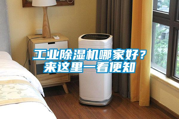 工業除濕機哪家好？來這里一看便知