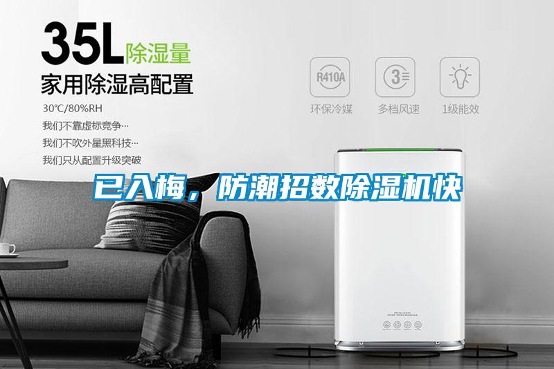 已入梅，防潮招數(shù)除濕機快