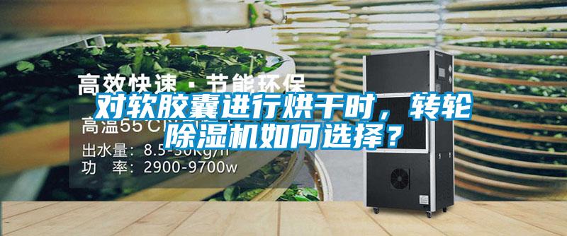 對軟膠囊進行烘干時，轉輪除濕機如何選擇？