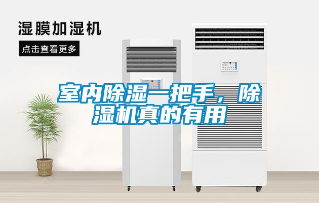 室內(nèi)除濕一把手，除濕機(jī)真的有用