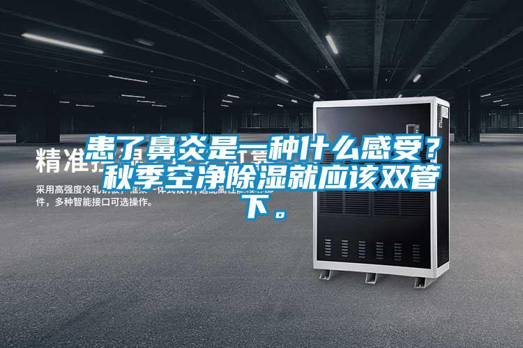 患了鼻炎是一種什么感受？ 秋季空凈除濕就應該雙管下。