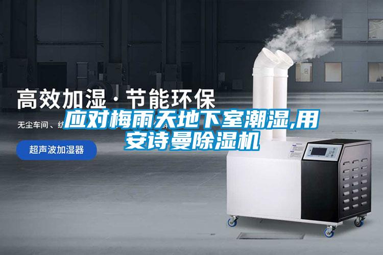 應(yīng)對梅雨天地下室潮濕,用安詩曼除濕機