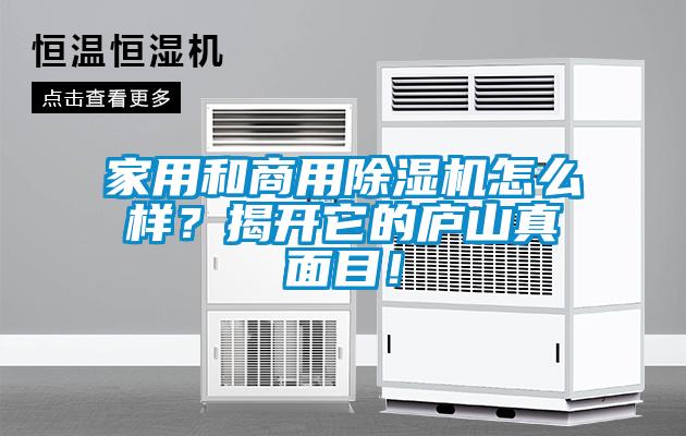 家用和商用除濕機怎么樣？揭開它的廬山真面目！