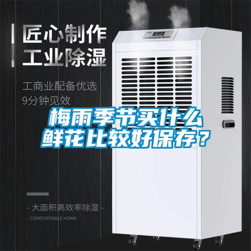 梅雨季節買什么鮮花比較好保存？