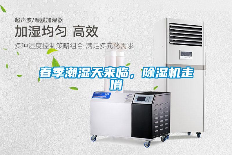 春季潮濕天來(lái)臨，除濕機(jī)走俏