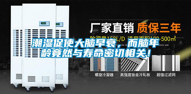 潮濕促使大腦早衰，而腦年齡竟然與壽命密切相關！