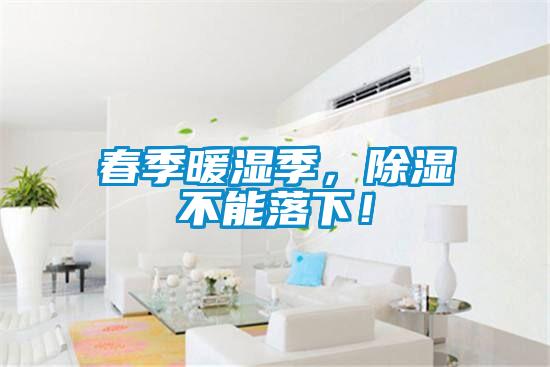 春季暖濕季，除濕不能落下！