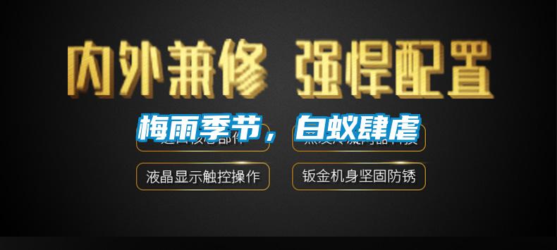 梅雨季節，白蟻肆虐