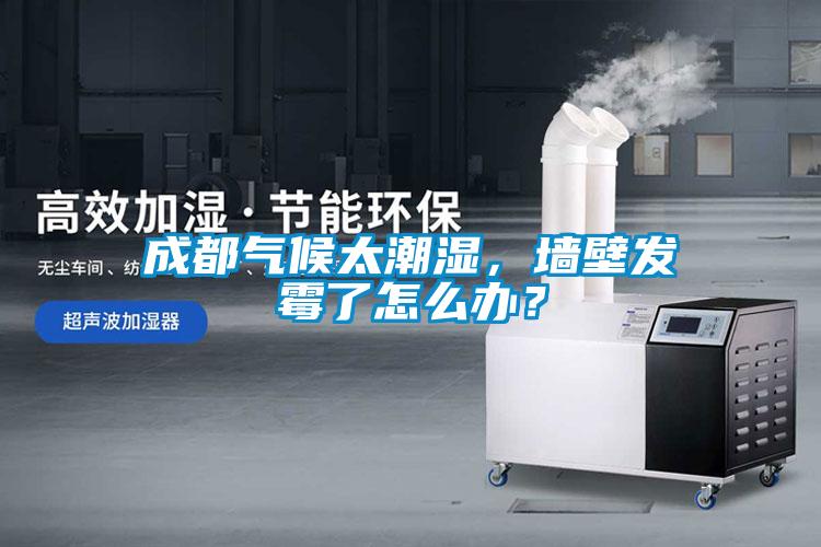 成都?xì)夂蛱睗瘢瑝Ρ诎l(fā)霉了怎么辦？