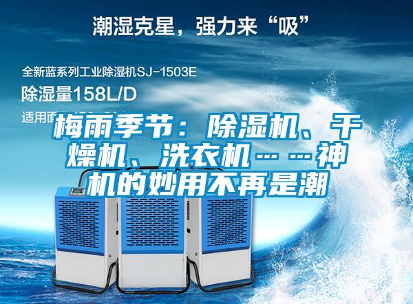 梅雨季節(jié)：除濕機、干燥機、洗衣機……神機的妙用不再是潮
