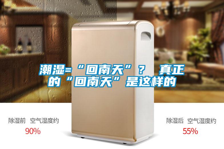 潮濕=“回南天”？ 真正的“回南天”是這樣的